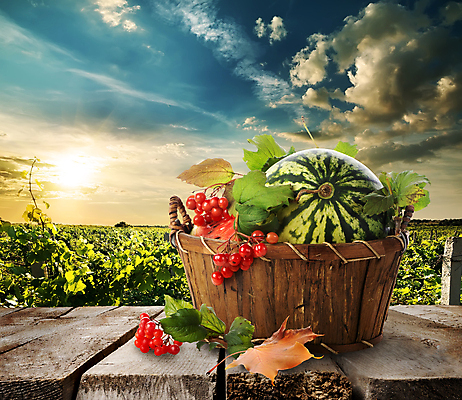 포토 JPG 해외이미지 구름 열매 음식 자연 하늘 수박 건강 사람없음 빨간색 햇빛 태양 바구니 일출 일몰 줄무늬 껍질 가을 오브젝트 과육 해외202004 해외포토 자연요소 식물 계절 컬러 무늬 과일 노을 생태계 파일형식 이미지허브