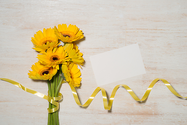 포토 JPG 해외이미지 리본 해바라기 실내 사람없음 하이앵글 오브젝트 목업 나무배경 해외202004 해외포토 꽃 뷰포인트 백그라운드 내부 파일형식 이미지허브