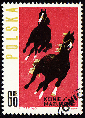 포토 JPG 해외이미지 동물 스포츠 포유류 사람없음 빨간색 라벨 검은색 경쟁 수확 승마 우아함 승차 가격 수집 심볼 흔적 그림 우표 폴란드 망아지 취소 달리기선수 레이서 지그재그 해외202004 해외포토 유럽 새끼 컬러 컨셉 농업 모션 프레임 말_동물 육상선수 파일형식 이미지허브