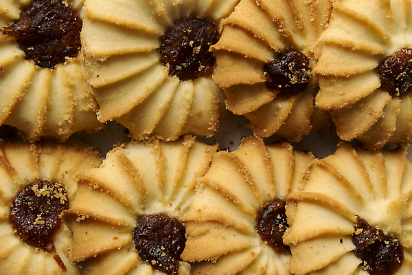 포토 JPG 해외이미지 전통 음식 백그라운드 휴가 디저트 건강 사람없음 갈색 쌓기 쿠키 케이크 빵집 흰색 신선 원형 그룹 닫기 달콤 맛 정상 굽기 먹기 오브젝트 질감 심플 흙더미 고립 오트밀 핸드메이드 해외202004 해외포토 도형 컬러 컨셉 모션 상점 흙 구이 파일형식 더미 귀리 이미지허브