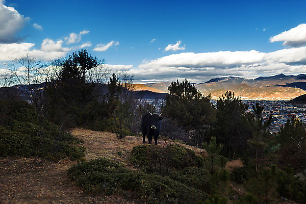 포토 JPG 해외이미지 아시아 여행 풍경 사람없음 관광지 중국 타운 구시가지 해외202004 해외포토 나라 도시 파일형식 이미지허브