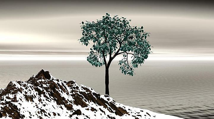 포토 JPG 해외이미지 나무 호수 선 바다 백그라운드 일러스트 산 풍경 사람없음 초록색 물 파란색 컬러풀 3D 검은색 흰색 생태학 수평선 해외202004 해외포토 자연요소 식물 교육 컬러 디지털합성 파일형식 이미지허브