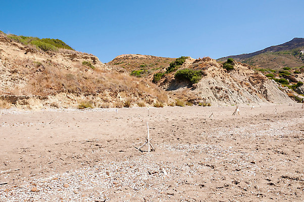 포토 JPG 해외이미지 동물 야생동물 모래 바다 섬 자연 종류 사람없음 야외 물 환경 계란 거북이 둥지 보호 땅 그리스 사인 새장 멸종 기르기 해외202004 해외포토 자연요소 유럽 컨셉 파충류 알 생태계 돌봄 케이지 파일형식 이미지허브