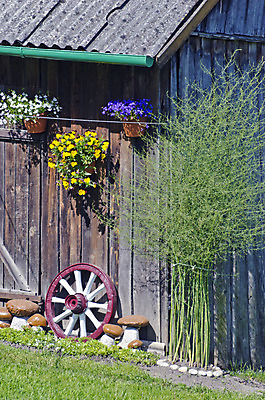 포토 JPG 해외이미지 식물 꽃 벽 건축양식 지붕 매달리기 사람없음 야외 목재 컬러풀 햇빛 농장 마을 정원 목장 바퀴 냄비 파편 마차 외양간 옛날 해외202004 해외포토 나무 건축 교통수단 컬러 농업 재료 모션 태양 솥 파일형식 이미지허브