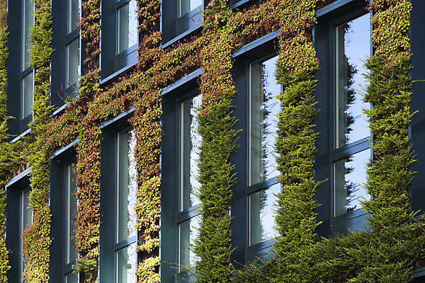 포토 JPG 해외이미지 식물 외관 벽 백그라운드 컨셉 잎 건축양식 창문 자연 아파트 프레임 사람없음 야외 건물 장식 초록색 사무실 환경 정원 성장 신선 네덜란드 생태계 내추럴 해외202004 해외포토 건축물 건축 유럽 컬러 비즈니스 주택 파일형식 이미지허브