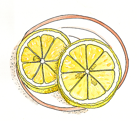 JPG 해외이미지 접시 일러스트 단면 수채화 사람없음 노란색 레몬 그림 해외202004 해외포토 포토 식기 컬러 과일 파일형식 이미지허브