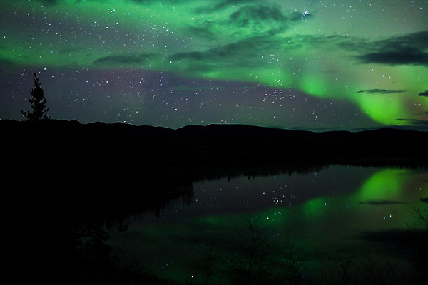 포토 JPG 해외이미지 나무 구름 별 호수 크리스마스 캐나다 밭 자연 하늘 표면 바람 풍경 사람없음 초록색 빛 반사 노란색 꿈 거울 가을 입자 야간 북극 버드나무 천문학 북쪽 알래스카 오로라 현상 해외202004 해외포토 자연요소 식물 계절 교육 기념일 컬러 북아메리카 농업 자연현상 날씨 미국 극지방 방향 생태계 파일형식 이미지허브