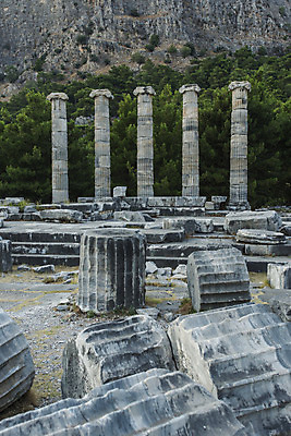 포토 JPG 해외이미지 건축물 여행 건축양식 휴가 사람없음 바위 기둥 과거 칠면조 천연기념물 로마인 명승지 옛날 해외202004 해외포토 건축 컨셉 조류 인종 풍경 돌_바위 파일형식 이미지허브