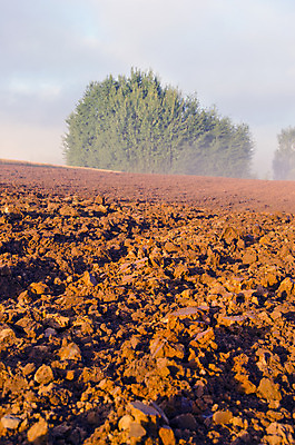 포토 JPG 해외이미지 나무 식물 계절 유럽 지구 백그라운드 패턴 밭 농업 자연 하늘 아침 풍경 사람없음 야외 초록색 빛 농장 농경지 갈색 노란색 환경 침묵 흙 새벽 안개 가을 시골 고독 숲 땅 만취 질감 장면 내추럴 땅바닥 밭일 쟁기 수평선 해외202004 해외포토 주간 자연요소 감정 나라 산업 컬러 무늬 날씨 바닥 소리 생태계 술취함 파일형식 이미지허브