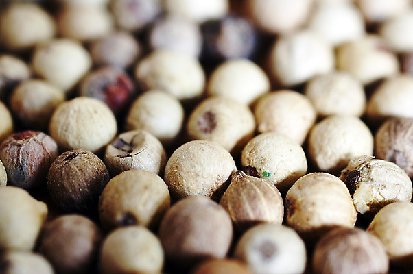 포토 JPG 해외이미지 백그라운드 패턴 표면 경사 사람없음 컬러풀 반사 양념 맛 허브 향신료 질감 후추 해외202004 해외포토 식물 컬러 컨셉 무늬 향미료 파일형식 이미지허브