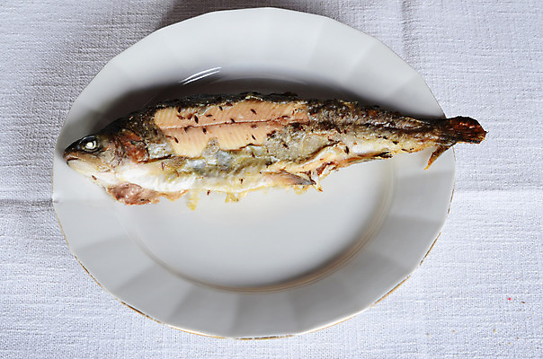 포토 JPG 해외이미지 접시 음식 조각 다이어트 탁자 건강 육류 어류 요리 사람없음 머리 식사 식탁보 흰색 신선 맛 굽기 해산물 향신료 묘사 유기농 눈금 점심식사 바이오 송어 해외202004 해외포토 식기 웰빙 컬러 가구 컨셉 식재료 신체부위 수중동물 구이 향미료 파일형식 이미지허브