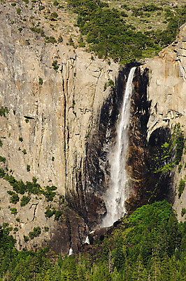 포토 JPG 해외이미지 나무 여행 산 파노라마 풍경 사람없음 초록색 여름 강 계곡 미국 절벽 폭포 흰색 개울 숲 부식 그림 빙하 캘리포니아 대야 선사시대 내추럴 산악지대 요세미티국립공원 울퉁불퉁 지질학 화강암 해외202004 해외포토 식물 계절 교육 컬러 북아메리카 자연 촬영기법 국립공원 암석 역사 파일형식 이미지허브