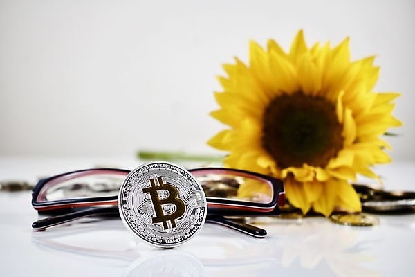 포토 JPG 해외이미지 식물 안경 돈 해바라기 사람없음 저축 재산 위험 무역 투자 결제 해외202004 해외포토 잡화 꽃 산업 컨셉 비즈니스 금융 파일형식 이미지허브