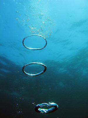 포토 JPG 해외이미지 사람없음 물 평화 수중 침묵 거품 반지 호흡 다이빙 해외202004 해외포토 자연요소 컨셉 장신구 수영 소리 수중스포츠 파일형식 이미지허브