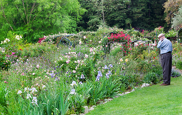 포토 JPG 해외이미지 남자 꽃 잎 성인 사람없음 초록색 컬러풀 정원 봄 벚꽃 캘리포니아 로스앤젤레스 해외202004 해외포토 식물 계절 컬러 사람 미국 파일형식 이미지허브