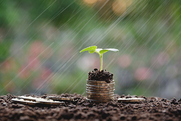 포토 JPG 해외이미지 손 백그라운드 컨셉 돈 비즈니스 성공 그래프 사람 사람없음 금융 경제 쌓기 달러 금속 동전 거래 저축 성장 흰색 바 시장 재산 황금 주식 심볼 속도 투자 상승 이익 보물 회계 보험 진행 대출 관심 수입 해외202004 해외포토 컬러 모션 재질 신체부위 파일형식 이미지허브