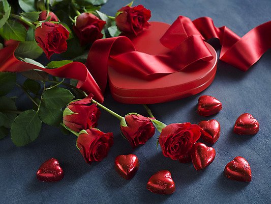 포토 JPG 해외이미지 리본 회색배경 발렌타인데이 사람없음 선물상자 하이앵글 장미 초콜릿 하트 오브젝트 해외포토 모양 꽃 뷰포인트 백그라운드 데이이벤트 디저트 선물 상자 회색 파일형식 이미지허브