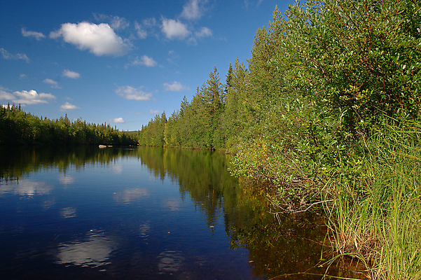 포토 JPG 해외이미지 구름 자연 하늘 사람없음 초록색 물 여름 파란색 강 반사 가을 해외202004 해외포토 자연요소 계절 컬러 생태계 파일형식 이미지허브