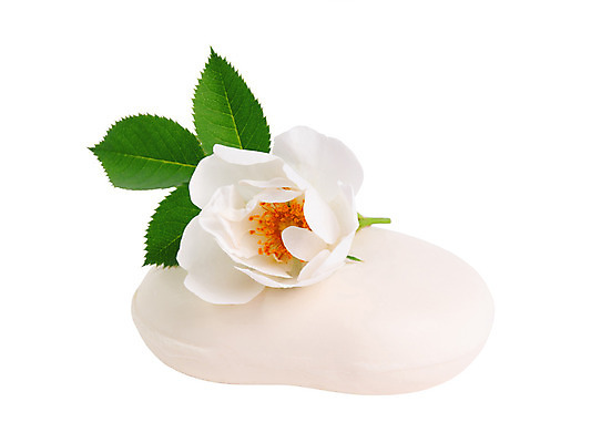 포토 JPG 해외이미지 식물 손 디자인 꽃 백그라운드 잎 자연 주택 건강 사람없음 초록색 위생용품 장미 스파 목욕 화장품 거품 흰색 신선 바 고급 빨래 허브 상쾌 유기농 향기 아로마 비누 내추럴 고립 돌봄 샤워실 위생관리 핸드메이드 해외202004 해외포토 웰빙 감정 컬러 생활용품 컨셉 가사 모션 관리 건물 신체부위 뷰티 청결 생태계 냄새 샤워시설 파일형식 이미지허브