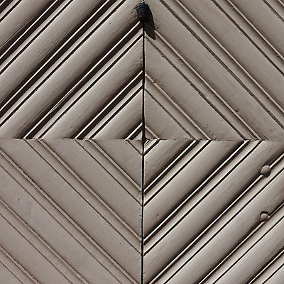 포토 JPG 해외이미지 나무 디자인 외관 벽 가구 백그라운드 패턴 자연 표면 추상 바닥 프레임 건조 사람없음 목재 울타리 갈색 어둠 공백 회색 흰색 소나무 판넬 거친 널 사인 질감 복고 내추럴 수목 엘리먼트 옛날 해외202004 해외포토 식물 컬러 생활용품 무늬 재료 담장 생태계 파일형식 이미지허브