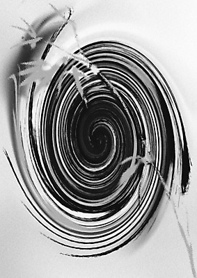 포토 JPG 해외이미지 자연 추상 흑백 나선형 사람없음 달리기 원형 감각 떨어짐 목표 대나무 속도 떠남 철학 해외202004 해외포토 도형 나무 교육 컨셉 무늬 모션 촬영기법 생태계 파일형식 이미지허브