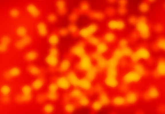 포토 JPG 해외이미지 템플릿 디자인 포스터 종이 벽 백그라운드 크리스마스 패턴 일러스트 벽지 추상 휴가 프레임 미술 사람없음 그래픽 장식 빨간색 빛 우주 디지털 검은색 웹 어둠 페인트 수확 붓 얼룩 뜨거움 신용카드 향신료 질감 복고 캔버스 페이지 그런지 스크랩북 양피지 옛날 원고 스타일 해외202004 해외포토 기념일 컬러 무늬 농업 인터넷 문화예술 금융 향미료 파일형식 이미지허브