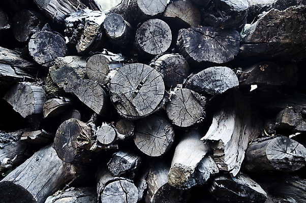 포토 JPG 해외이미지 나무 산업 백그라운드 십자가 부분 불 날씨 프레임 건조 사람없음 목재 쌓기 마을 환경 검은색 에너지 나뭇가지 시골 소나무 원형 거친 그룹 널 주식 장작 자르기 다발 가득함 질감 통나무 나무껍질 잡동사니 흙더미 내추럴 그런지 수목 개조 해외202004 해외포토 자연요소 도형 식물 컬러 재료 모션 금융 흙 껍질 파일형식 더미 이미지허브