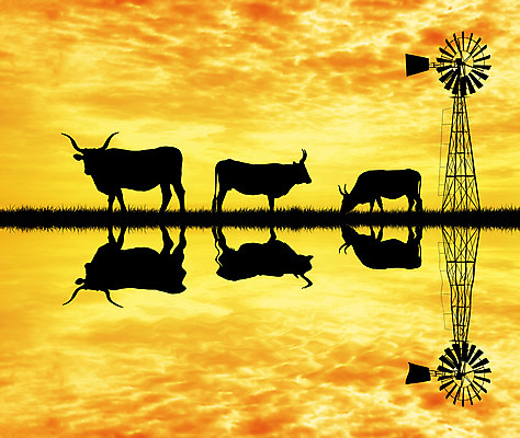 포토 JPG 해외이미지 동물 구름 실루엣 백그라운드 밭 농업 오렌지 일러스트 포유류 자연 하늘 휴식 사람 풍경 사람없음 물 여름 햇빛 태양 농장 농경지 반사 마을 황혼 일몰 풍차 시골 신용카드 소 저녁 언덕 질감 엽서 장면 밭일 수평선 해외202004 해외포토 자연요소 계절 산업 컨셉 과일 촬영기법 금융 노을 야간 편지 생태계 파일형식 이미지허브