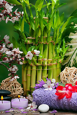 포토 JPG 해외이미지 꽃잎 꽃 잎 꽃무늬 휴식 건강 사람없음 치료 수건 상점 스파 봄 벚꽃 조약돌 바위 마사지 난초 소중 대나무 향기 아로마 객실 향 아로마테라피 돌봄 바디케어 에센스 해외202004 해외포토 나무 식물 계절 컨셉 무늬 의학 모션 위생용품 화장품 돌_바위 냄새 테라피 파일형식 이미지허브