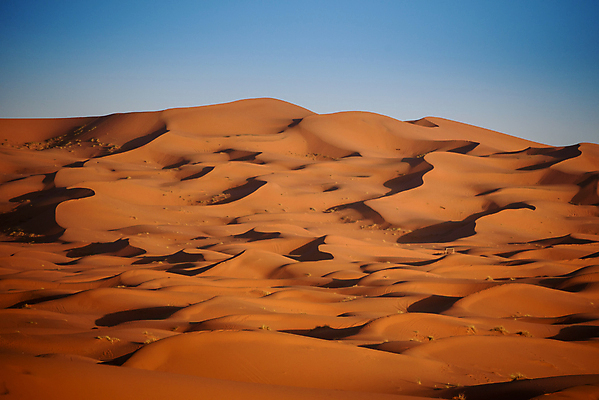 포토 JPG 해외이미지 동물 커플 모래 여행 포유류 아프리카 자연 하늘 건조 이집트 사람없음 야외 모래사장 태양 맑음 산책 사막 시골 뜨거움 양치기 고독 모래언덕 사파리 낙타 동쪽 모로코 남쪽 사하라 아랍에미리트 순례 아랍어 오아시스 이국적 수평선 해외202004 해외포토 자연요소 직업 감정 나라 바다 중동 관계 날씨 휴식 방향 언덕 생태계 파일형식 이미지허브