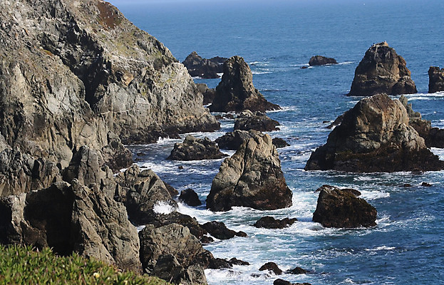 포토 JPG 해외이미지 파도 바다 여행 자연 조류 풍경 사람없음 물 머리 만 엽서 캘리포니아 암초 해외202004 해외포토 자연요소 동물 신체부위 미국 편지 생태계 파일형식 이미지허브