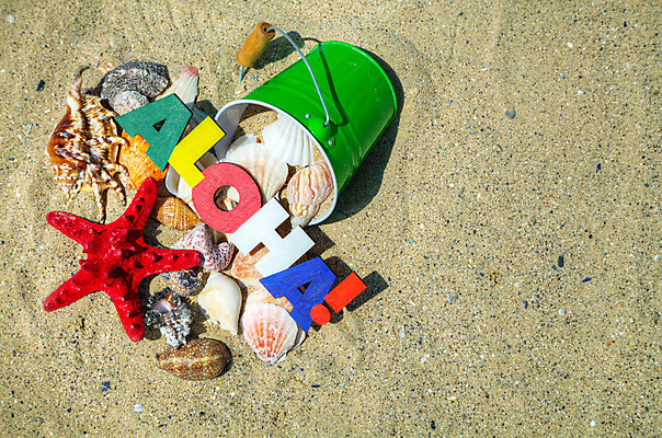 포토 JPG 해외이미지 손 문화 모래 바다 섬 여행 텍스트 휴가 불가사리 사람없음 야외 물 단어 컬러풀 햇빛 여행객 껍질 인사 잡기 편지 양동이 휴양지 하와이 캘리포니아 하와이인 알로하 플로리다 해외202004 해외포토 자연요소 외국인 문자 컬러 모션 극피동물 사람 신체부위 태양 미국 장소 예절 파일형식 이미지허브