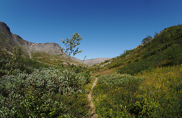 포토 JPG 해외이미지 나무 구름 공원 도로 길 여행 밭 자연 하늘 산 풍경 사람없음 야외 목재 초록색 물 여름 파란색 컬러풀 태양 갈색 걷기 얼음 일몰 하이킹 가을 흰색 시골 오픈 정상 숲 언덕 장면 내추럴 선로 절정 수평선 해외202004 해외포토 자연요소 식물 계절 공공시설 컬러 농업 재료 교통시설 모션 레저 노을 생태계 파일형식 이미지허브