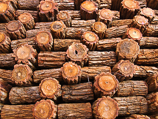 포토 JPG 해외이미지 나무 산업 백그라운드 겨울 패턴 자연 불 추상 사람없음 야외 목재 갈색 쌓기 환경 재활용 에너지 시골 소나무 뜨거움 원형 숲 장작 난로 자르기 묘사 벽난로 질감 날것 통나무 나무껍질 연료 자원 잡동사니 다리찢기 내추럴 수목 옛날 전기톱 화상 개조 해외202004 해외포토 자연요소 도형 식물 계절 컬러 무늬 재료 모션 껍질 상처 난방기 친환경 생태계 톱 파일형식 이미지허브