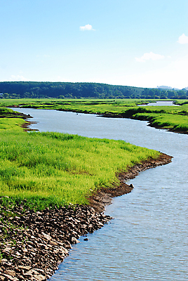 포토 JPG 해외이미지 나무 식물 동물 구름 계절 공원 꽃 도로 호수 모래 여행 백그라운드 겨울 밭 자연 하늘 추상 미술 풍경 사람없음 야외 목재 빨간색 초록색 물 파란색 강 태양 농장 우주 검은색 침묵 젖음 가을 연못 습지 숲 망토 홍수 장면 내추럴 해외202004 해외포토 자연요소 공공시설 길 컬러 무늬 농업 재료 교통시설 문화예술 소리 자연재해 생태계 파일형식 이미지허브