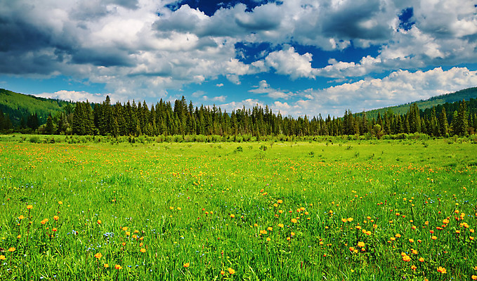 포토 JPG 해외이미지 구름 꽃 밭 자연 하늘 산 풍경 사람없음 초록색 여름 파란색 햇빛 환경 맑음 벚꽃 시골 숲 언덕 생태학 해외202004 해외포토 자연요소 식물 계절 교육 컬러 농업 날씨 태양 생태계 파일형식 이미지허브