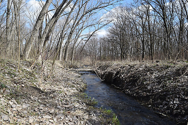 포토 JPG 해외이미지 구름 계절 아시아 호수 여행 백그라운드 밭 자연 하늘 날씨 풍경 사람없음 야외 초록색 물 여름 파란색 강 햇빛 반사 노란색 맑음 봄 흐름 가을 연못 신선 개울 황무지 작음 땅 몽골 언덕 장면 내추럴 생태학 스텝 해외202004 해외포토 자연요소 교육 나라 컬러 컨셉 농업 태양 크기 생태계 파일형식 이미지허브