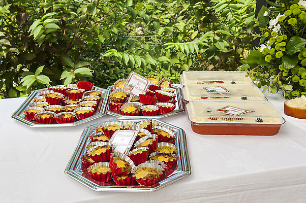 포토 JPG 해외이미지 접시 기념일 음식 조각 백그라운드 채소 재료 탁자 호텔 디저트 염소 치즈 건강 종류 육류 요리 이벤트 사람없음 장식 농장 노란색 파티 요식업 식당 식사 저녁식사 우유 흰색 축하 신선 양 발표 아침식사 서비스 서빙 부드러움 점심식사 뷔페 해외202004 해외포토 식기 산업 컬러 가구 컨셉 농업 식재료 포유류 숙소 유제품 상점 감각 파일형식 이미지허브