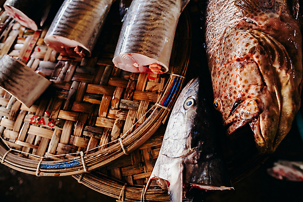 포토 JPG 해외이미지 전통 아시아 문화 음식 바다 조각 비즈니스 자연 거리 건강 어류 요리 동양인 사람없음 세일 얼음 여러개 젖음 신선 도시 시장 자르기 참치 해산물 날것 베트남 지역 고등어 소매 이국적 차이나타운 해외202004 해외포토 자연요소 나라 다수 모션 인종 관광지 동남아시아 수중동물 생태계 파일형식 이미지허브