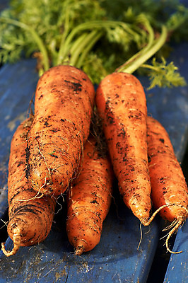 포토 JPG 해외이미지 음식 농업 채소 요리 사람없음 정원 당근 수확 신선 먹기 유기농 원예 뿌리 따기 해외202004 해외포토 웰빙 산업 모션 뿌리채소 취미 파일형식 이미지허브