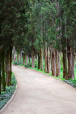 포토 JPG 해외이미지 나무 계절 공원 도로 길 잎 곡선 자연 거리 풍경 사람없음 야외 초록색 여름 걷기 정원 침묵 봄 나뭇가지 시골 고독 숲 신비 오솔길 장면 멀리 해외202004 해외포토 식물 공공시설 감정 선 컬러 컨셉 교통시설 모션 소리 생태계 파일형식 이미지허브