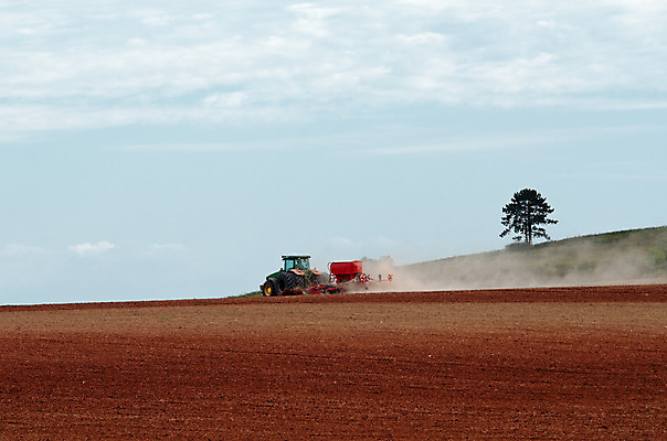 포토 JPG 해외이미지 나무 밭 농업 자연 풍경 사람없음 야외 농장 농경지 갈색 시골 업무 작업 트랙터 해외202004 해외포토 식물 산업 컬러 농기계 생태계 특수차량 파일형식 이미지허브