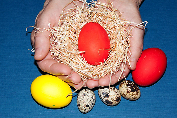 포토 JPG 해외이미지 전통 손 디자인 계절 여자 행복 종교 음식 손가락 휴가 부활절 기념 관리 선물 사람 사람없음 장식 컬러풀 계란 페인트 봄 축하 잡기 그리기 심볼 내추럴 옛날 해외202004 해외포토 기념일 감정 컬러 컨셉 모션 신체부위 알 파일형식 이미지허브