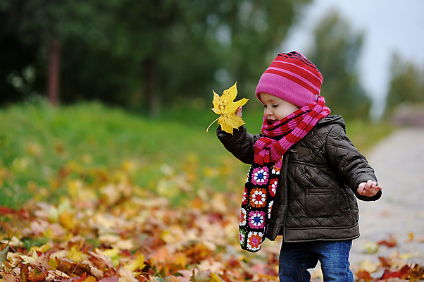 포토 JPG 해외이미지 나무 백인 계절 공원 여자 딸 행복 어린이 단풍 잎 자연 놀이 친절 건강 사랑 한명 야외 갈색 노란색 목도리 재킷 가을 아기 잡기 달콤 작음 9월 11월 만족 10월 걸음마 해외202004 해외포토 서양인 식물 1 잡화 공공시설 감정 컬러 가족 모션 사람 외투 날짜 맛 크기 생태계 파일형식 이미지허브