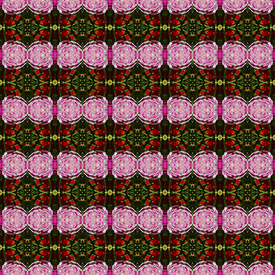 포토 JPG 해외이미지 식물 꽃잎 꽃 아시아 분홍색 잎 꽃무늬 자연 이끼 사람없음 장식 초록색 장미 성장 벚꽃 신선 해외202004 해외포토 나라 컬러 무늬 생태계 파일형식 이미지허브