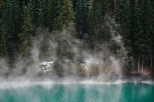 포토 JPG 해외이미지 나무 구름 호수 파도 아침 사람없음 초록색 물 파란색 평화 환경 안개 연못 신선 숲 신비 생태학 해외202004 해외포토 주간 자연요소 식물 교육 바다 컬러 컨셉 날씨 파일형식 이미지허브
