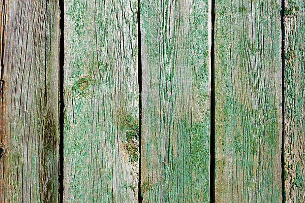 포토 JPG 해외이미지 나무 디자인 외관 벽 백그라운드 패턴 표면 날씨 추상 프레임 건조 사람없음 야외 초록색 울타리 농장 문 칠판 손상 회색 껍질 시골 판넬 얼룩 거친 그리기 떨어짐 널 가득함 묘사 질감 매듭 방패 염색 내추럴 평행 구식 그런지 깨짐 수목 옛날 해외202004 해외포토 식물 컬러 컨셉 무늬 농업 모션 담장 파일형식 이미지허브