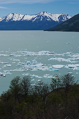 포토 JPG 해외이미지 공원 호수 여행 자연 산 파노라마 국립공원 풍경 사람없음 야외 물 파란색 얼음 추위 세계문화유산 남아메리카 빙하 빙산 아르헨티나 터키석 해외202004 해외포토 자연요소 공공시설 컬러 촬영기법 아메리카 문화재 보석 생태계 파일형식 이미지허브