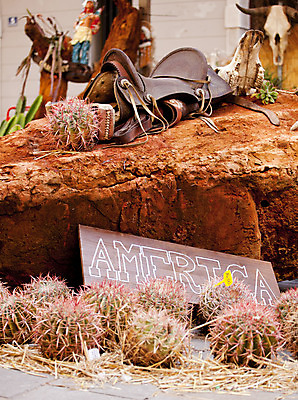 포토 JPG 해외이미지 선인장 손잡이 서기 사람없음 내부 목재 세로 햇빛 금속 정원 장비 회색 수확 벨트 공구 시골 업무 카우보이 가죽 모종삽 삽 사인 원예 안장 서쪽 철강 해외202004 해외포토 나무 식물 잡화 컬러 농업 재료 모션 재질 취미 태양 도구 작업 방향 파일형식 이미지허브