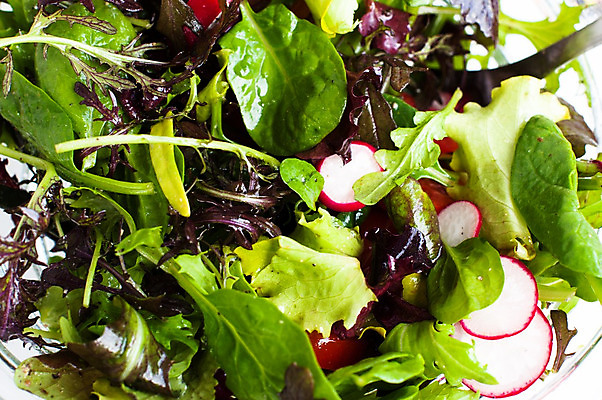 포토 JPG 해외이미지 라이프스타일 계절 음식 잎 농업 다이어트 채소 건강 사람없음 빨간색 초록색 농장 정원 봄 샐러드 수확 성장 신선 시장 선택 혼합 상추 먹기 묘사 유기농 원예 시금치 내추럴 섞기 식용 원예사 채식주의자 로메인상추 해외202004 해외포토 식물 직업 웰빙 산업 컬러 컨셉 모션 취미 생활 채식 파일형식 이미지허브